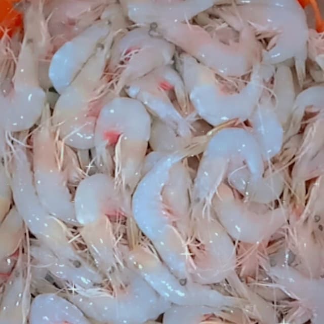 Prawn